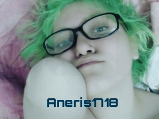 Aneris1718