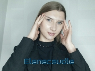 Elenecaudle