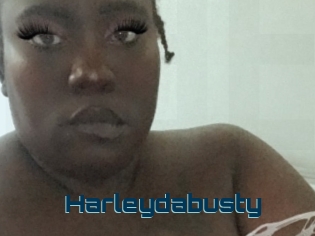 Harleydabusty