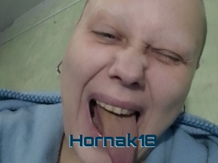 Hornak18