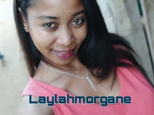 Laylahmorgane