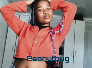 Peanutbug