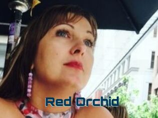 Red_Orchid