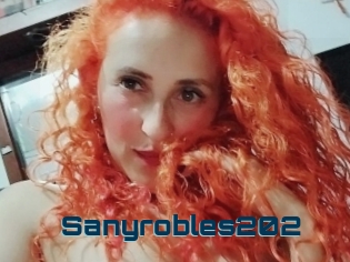 Sanyrobles202