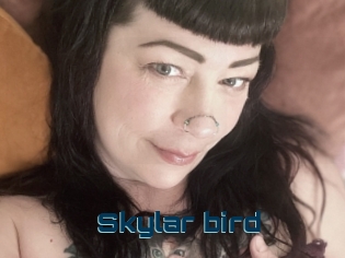 Skylar_bird