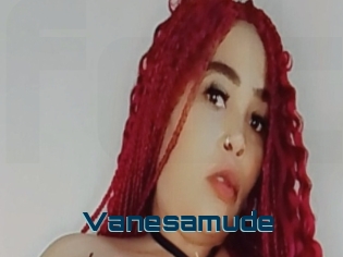 Vanesamude