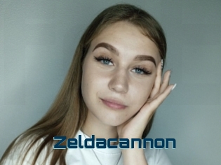 Zeldacannon